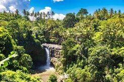 INDONÉSIE – JÁVA, BALI + FLORES A KOMODO