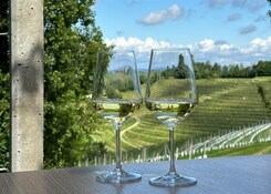  - SLOVINSKO – VELIKONOCE A VIVAT TERME 5*