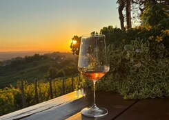 ŠTÝRSKO A JERUZALÉMSKÉ VINOHRADY