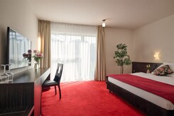 ŠTÝRSKO A JERUZALÉMSKÉ VINOHRADY