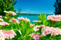  - BODAMSKÉ JEZERO - MAINAU, KOSTNICE, LINDAU