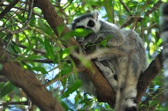 VALENCIE – MĚSTO HISTORIE, MOŘE A BUDOUCNOSTI