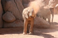 VALENCIE – MĚSTO HISTORIE, MOŘE A BUDOUCNOSTI