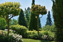 BODAMSKÉ JEZERO – MAINAU, KOSTNICE, LINDAU