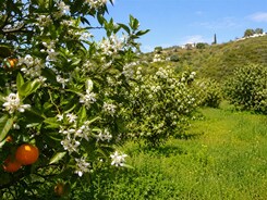 ANDALUSIE – ALHAMBRA A PERLY JIŽNÍHO ŠPANĚLSKA