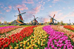 HOLANDSKO – JARNÍ KEUKENHOF A AMSTERDAM