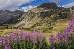  - ANDORRA, ŠPANĚLSKO - NP PYRENEJÍ