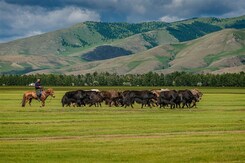 MONGOLSKO – POUŠŤ GOBI, ČINGISCHÁN A DIVOCÍ KONĚ