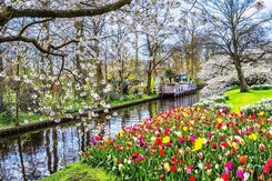 HOLANDSKO – JARNÍ KEUKENHOF A AMSTERDAM
