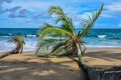 SRÍ LANKA – ZA KRÁSAMI EXOTICKÉHO OSTROVA